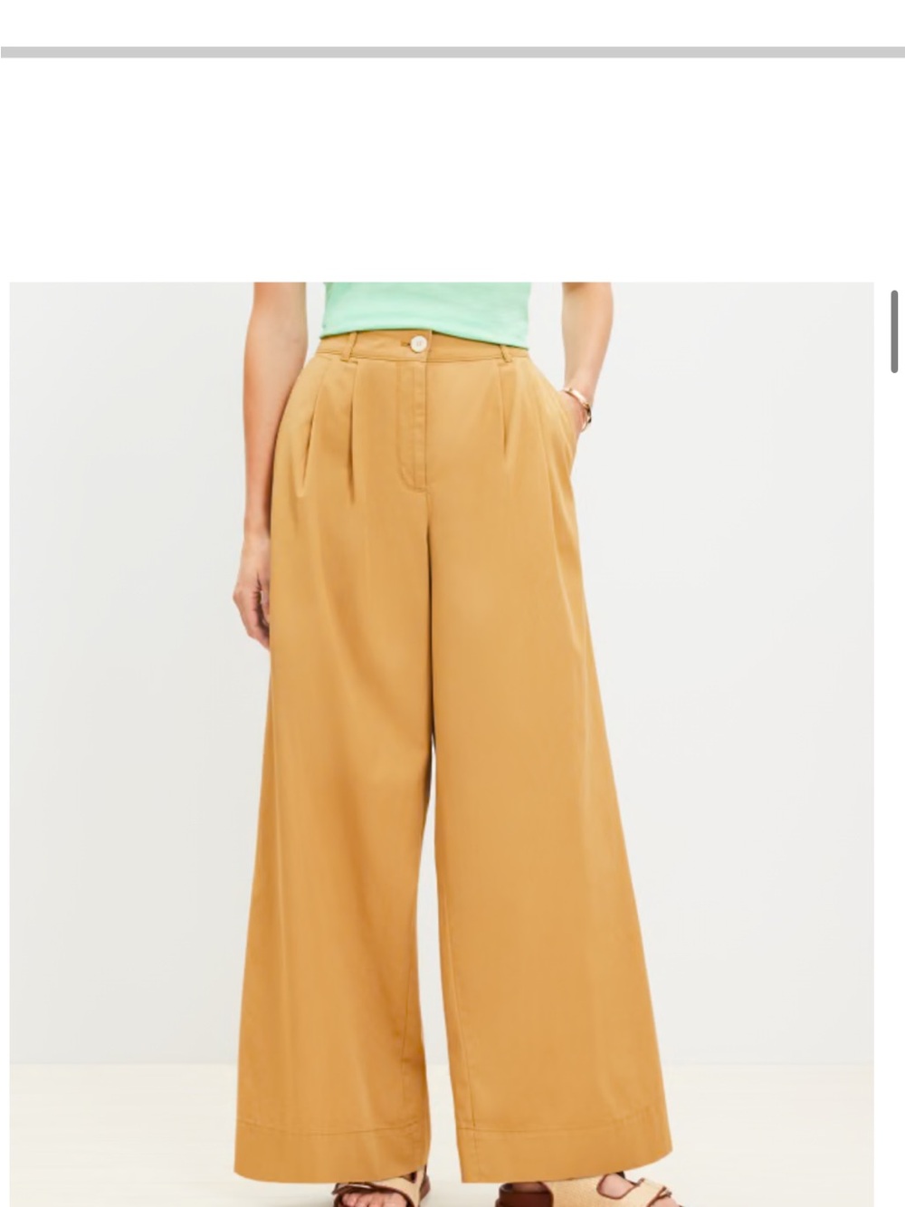 LOFT Sandstone Poplin Wide Leg Pants